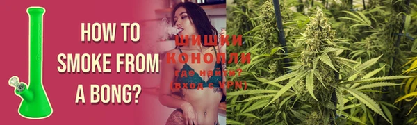 дурь Белокуриха